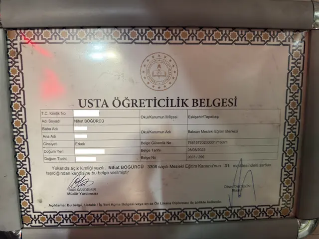 Nihat Böğürcü usta öğreticilik belgesi, 2023